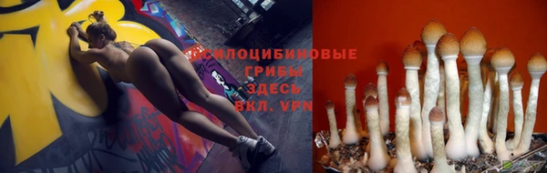 кокаин Алексеевка