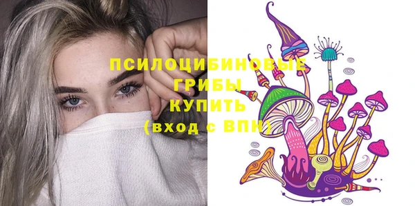 дживик Алексин